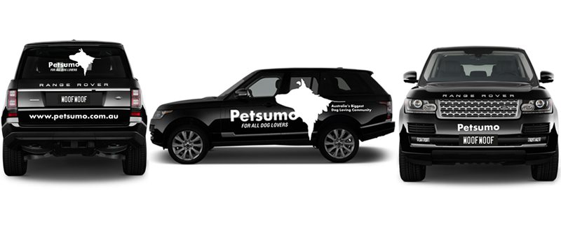 best graphic designer darwin car decal lukerative design