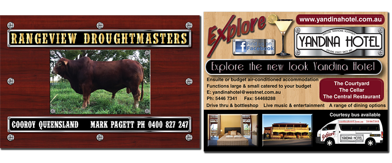 best graphic designer darwin lukerative banner design